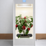 Minigrow One Growbox