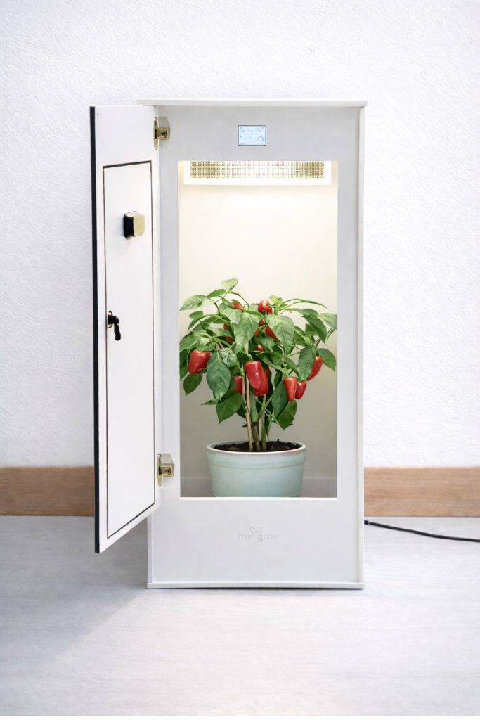 Minigrow One Large with paprikaplant